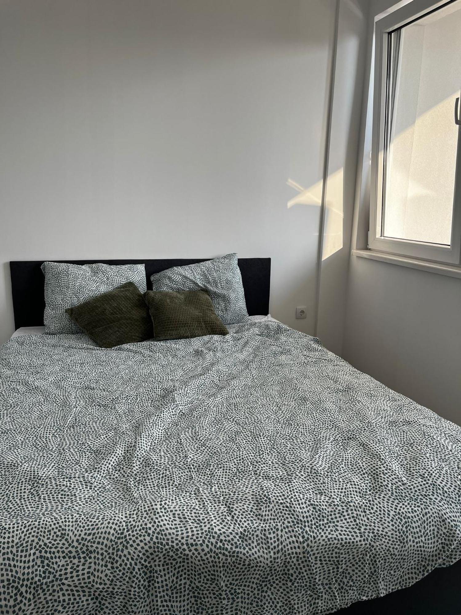 Radojkovic Lux Apartament Golubăţ
